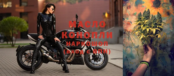 крисы Аркадак